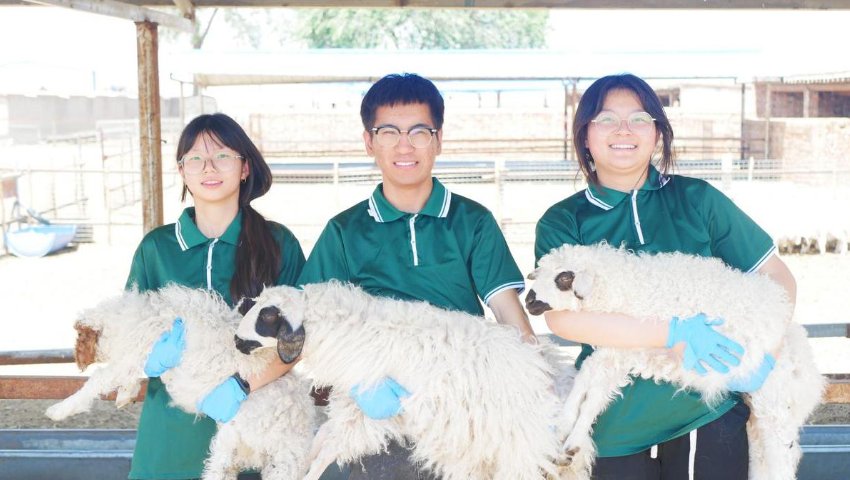 太阳城体育,太阳城娱乐官方网站入口说明